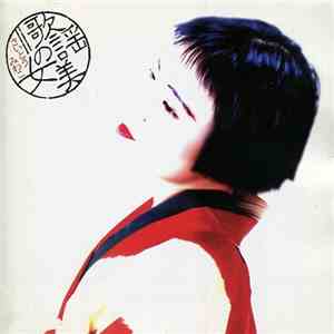 さいとういんこ - 歌謡美の女 download free