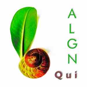 Algn - Qui download free