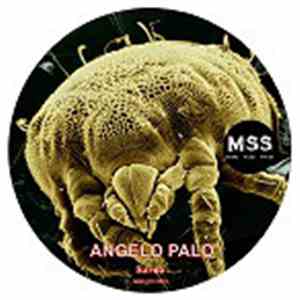 Angelo Palo - Sarna download free
