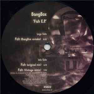 Bangbox - Fish E.P. download free