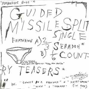 Country Teasers / Amnesiac Godz - Guided Missile Split Single download free