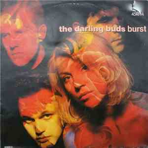 The Darling Buds - Burst download free