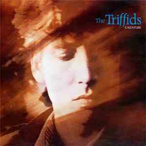 The Triffids - Calenture download free