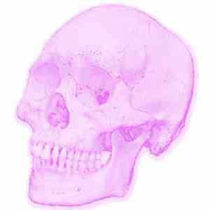 TMSM / MFA / PAL / Raw Dada - The Pink Skull download free