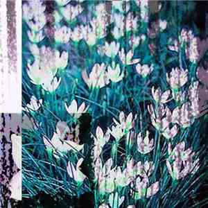 Zephyranthes - Neverfeltlikethisbefore // Anywhere download free