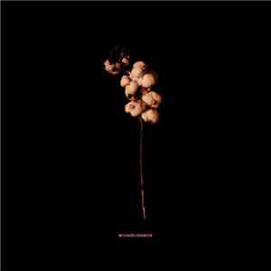 Zodiac  - Menschenstaub download free